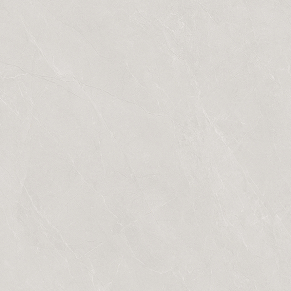 SW88331GY